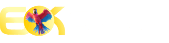 Search mega - 9900bet