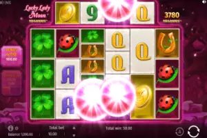 Sport py bet