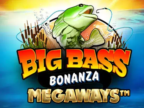 Big win entrar